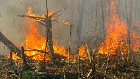 Feuer unterm Hintern