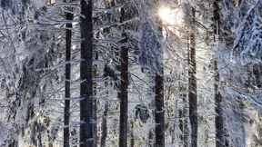 Weiter knackig kalt und sonnig