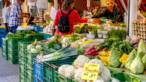 Blumenkohl für bis zu sieben Euro