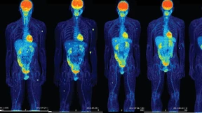 „Wir müssen uns neu organisieren“