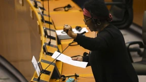 Deutsche EU-Abgeordnete Opfer von Polizeigewalt geworden