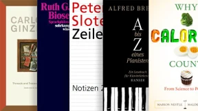 Der Alchemist braucht nur Holz, Filz und Stahl