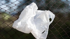 Kalifornien will als erster amerikanischer Bundesstaat Plastiktüten verbieten