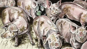 Vorsicht, Stallgeruch!