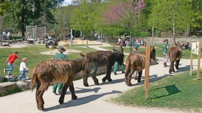 Was den Tierpark Fasanerie besonders macht