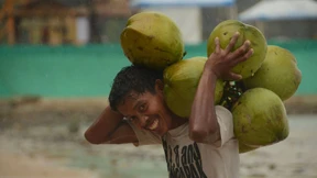 Kreuzfahrt unterm Fledermaushimmel