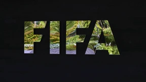 Fifa-Skandal zwischen Fakt und Spekulation