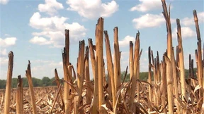 Bauern erwarten Jahrhundert-Missernte 