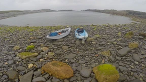 Irische Wirtschaft fordert Krisenfonds