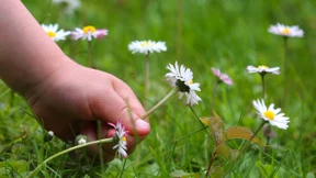 Erkenntnisse von der Knieschutzmatte
