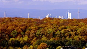 „Es geht um profane Machtsicherung“