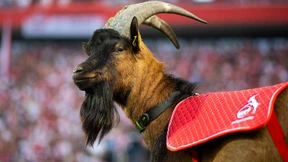 Drei Corona-Fälle als Stresstest für den Fußball