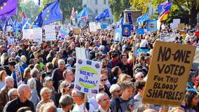 Die Hoffnung stirbt zuletzt