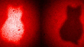 Fotografieren mit weggeworfenen Photonen