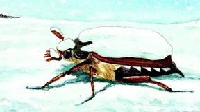 Aus der Zeit gefallen