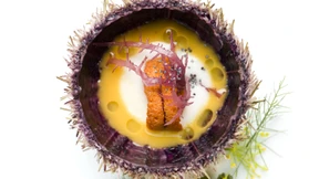 Mehr Kölsch in die Küche!