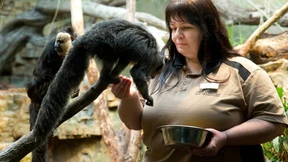 Üben für den Gang zur Waage