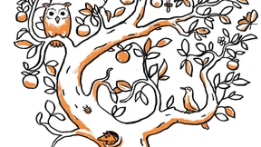 Nicht nur der Eremit schätzt die Wiese