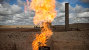 Vom edlen Retter zum Klimasünder 