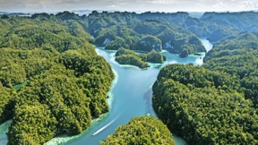 Riff ohne Wiederkehr