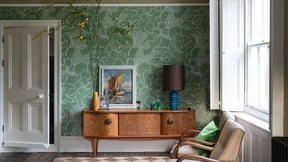 Willkommen im Dschungel