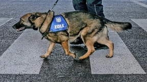 Aki weiß, wie Euros riechen