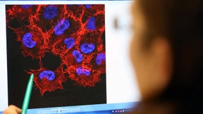 Forscher: Jeder zweite Krebspatient wird geheilt