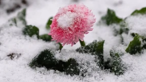 Der Frühling beginnt winterlich