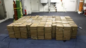 Eine Tonne Kokain in Mexiko sichergestellt