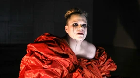 Nur mit Ochsen hab ich Mitleid