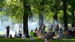 Harmonie wird überschätzt