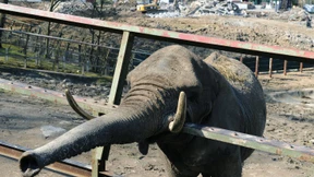 Stiftung soll Lasten des Ausbaus lindern