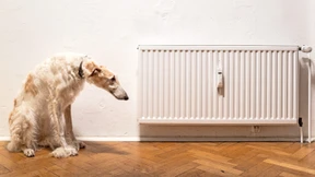 So kommt Europa durch den Winter