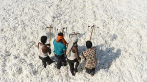 Europaparlament stimmt für EU-Lieferkettengesetz