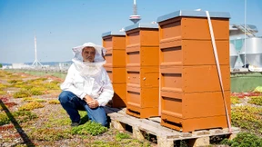 Die Biene und der Polizist