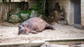 „Entweder Mut oder Untergang“