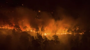 Waldbrände fordern mindestens zehn Todesopfer