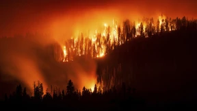 So klein, der Mensch