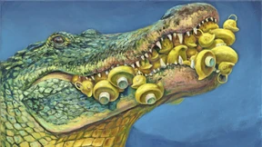 Vorsicht, Tier im Bild