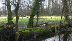 Zwischen Sumpf und Steppe