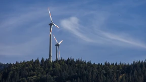 Bürger votieren gegen Windpark