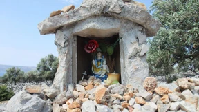 Die Fische spüren  den nächsten Sturm