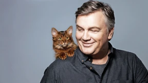 Katzen reiten die Welle und retten die Welt