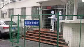 Eine ganze Stadt wird zum Zoo