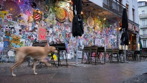 Abschreckendes Beispiel Ampel: Berlin spart sich sexy?