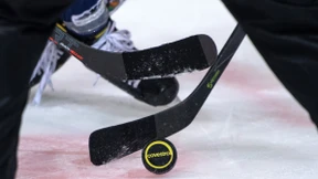 Gerry Fleming wird neuer Trainer der Löwen Frankfurt