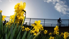 Der Frühling kommt – aber nicht sehr lange