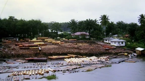 An der Schwelle zur Menschheits-Epoche