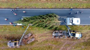 Was ist besser, eine echte oder eine künstliche Tanne?