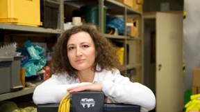 Saubermachen ist besser, als Zahlen aufzuschreiben